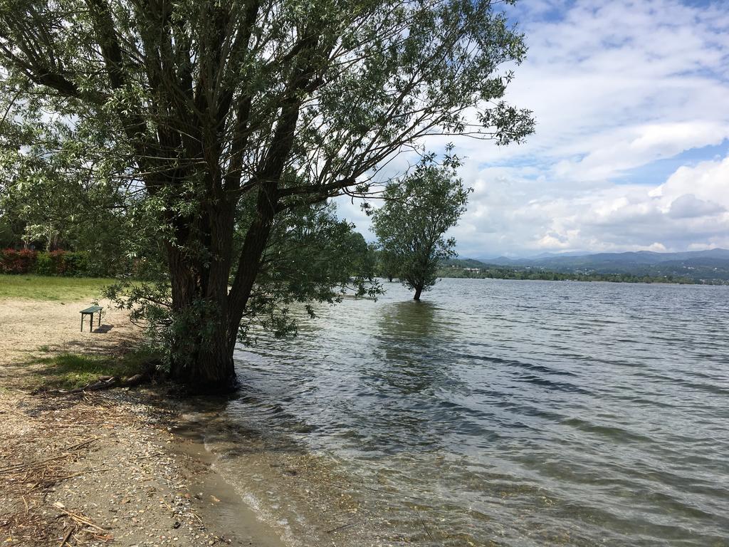 Hotel Lago Maggiore Castelletto sopra Ticino Eksteriør billede